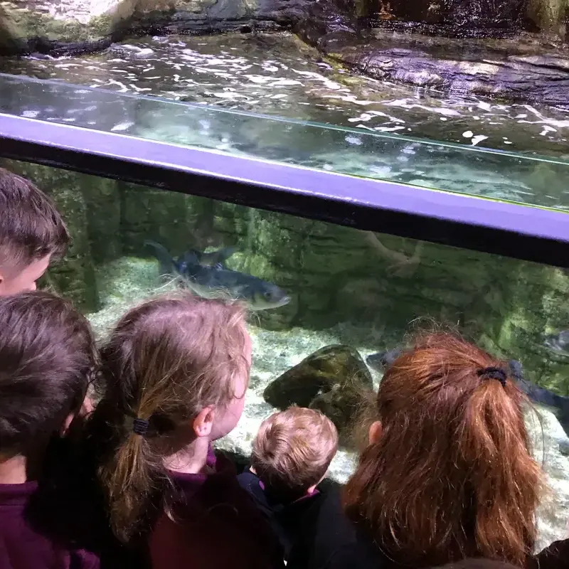 Year 1 and 2 Dive into Learning with a Fin-tastic Day Out in Hastings