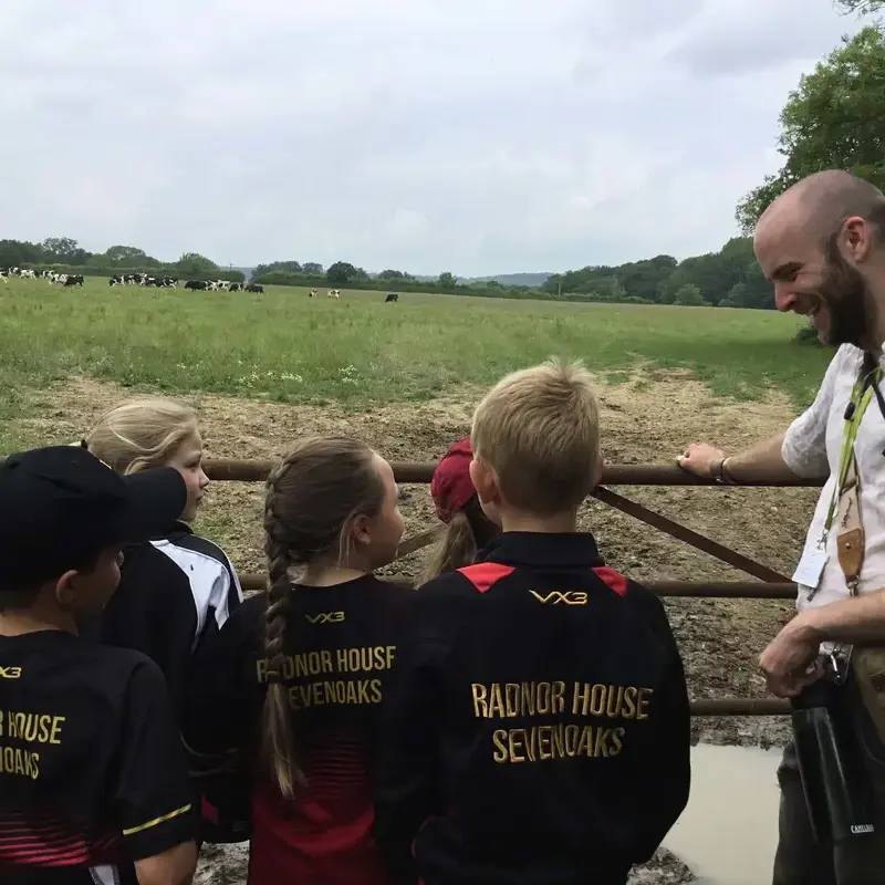 Year 3 and 4 Explore Organic Farming at Bore Place Farm