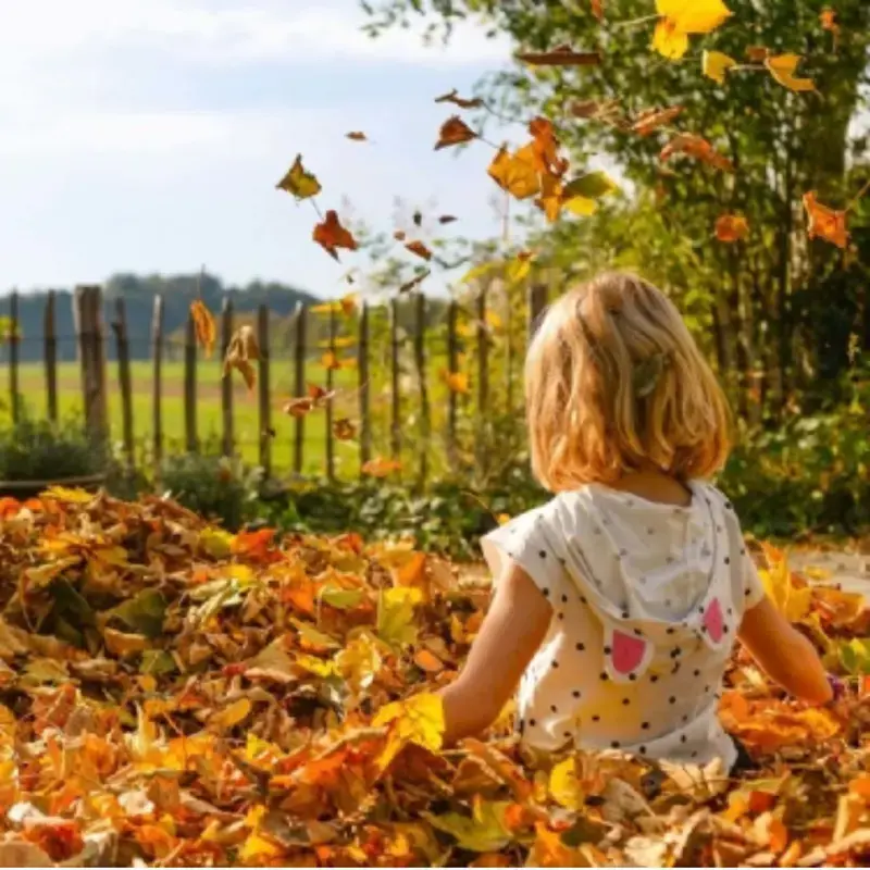 The Plan for Play: Putting Your Child in Charge