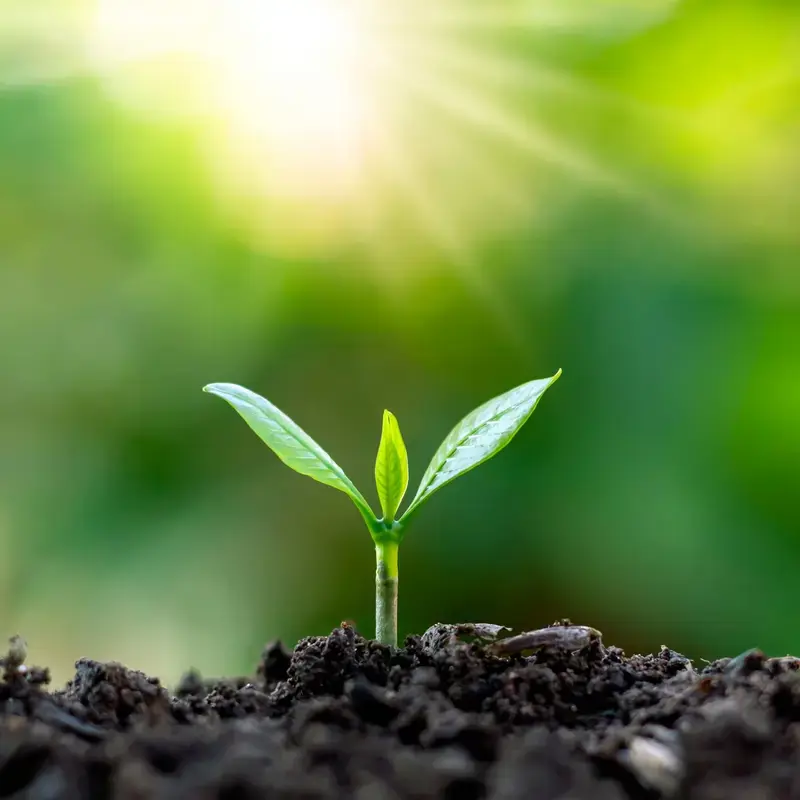 How to Let Go:  Support Children Through New Beginnings