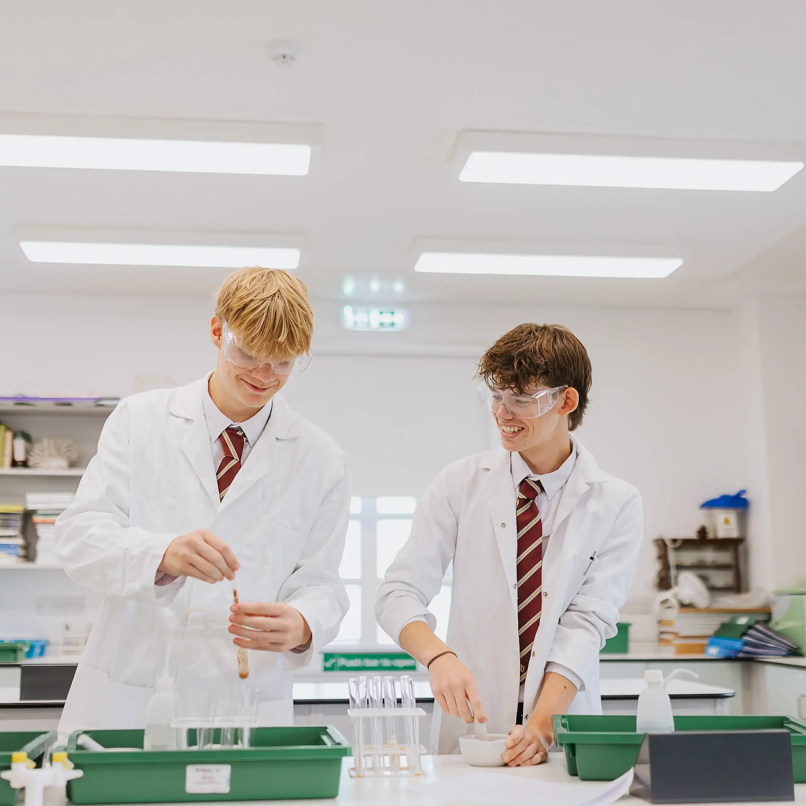 Two students in a science lesson