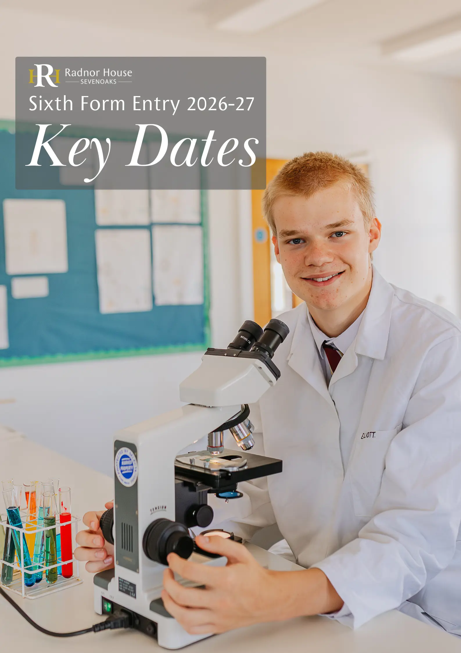  OptimizedImage,Optimized