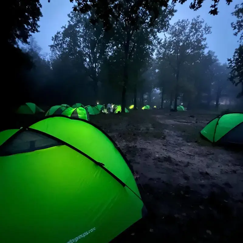 Year 8 Adventurers Return After Successful Ashdown Forest Camp