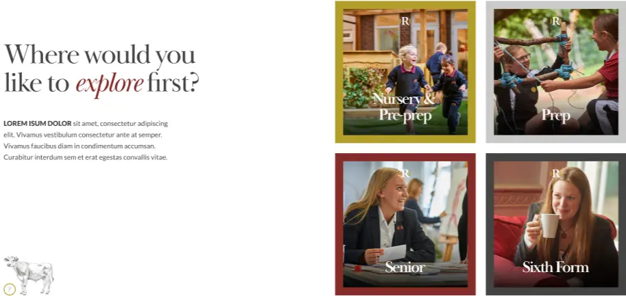 OptimizedImage,Optimized