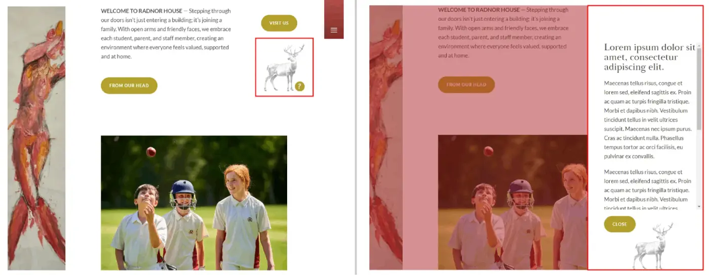 OptimizedImage,Optimized